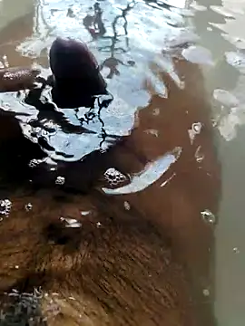 Snapshot of mysterious_guy_kakashi1 chatting on February 2026 09:41:01 AM mysterious guy kakashi1 online show from February 2026 09:41:01 AM