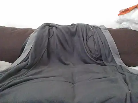 Snapshot of CitizenDick chatting on April 2026 11:47:02 AM CitizenDick online show from April 2026 11:47:02 AM