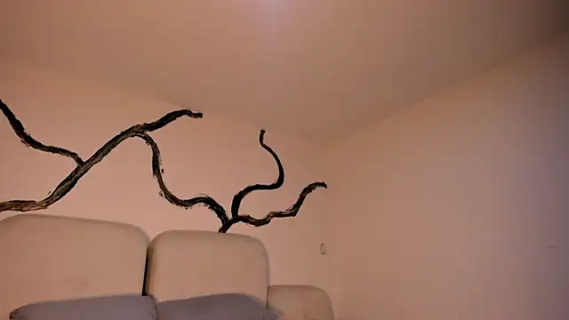 EthanTravis  online show from February 2025 07:33:02 AM