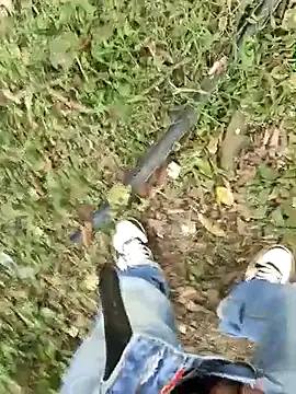 C vas  online show from March 2025 09:15:02 PM