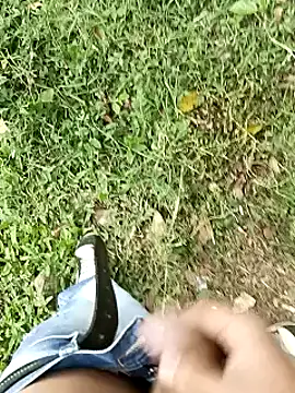 C vas  online show from March 2025 08:53:01 PM