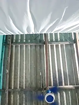 hotbaby 5 online show from October 2025 03:36:02 AM