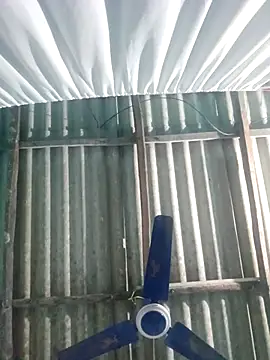 hotbaby 5 online show from November 2025 02:50:02 PM