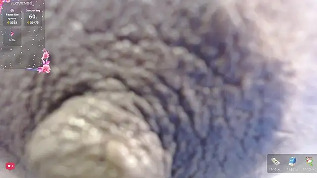 Snapshot of Keilathompson chatting on February 2026 10:41:02 AM Keilathompson online show from February 2026 10:41:02 AM