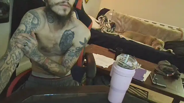 XMeF10 online show from February 2025 01:53:02 AM