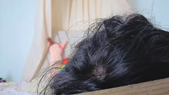 Katiaflex online show from March 2026 03:41:02 AM