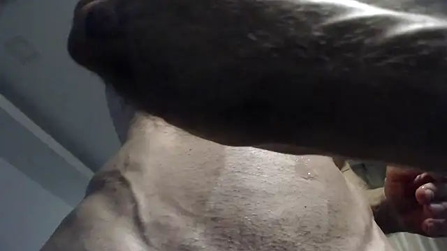 flexforyou online show from October 2025 07:18:01 AM