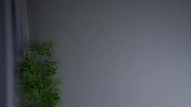 AftonConnett online show from February 2026 01:03:01 AM