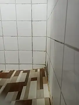 Elber24 online show from December 2025 04:33:02 AM