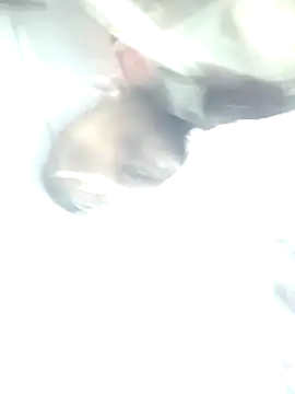 heartless  95 online show from February 2025 11:16:02 AM