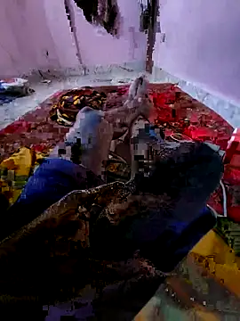 Snapshot of Ssdhaka11 chatting on November 2025 02:51:01 PM Ssdhaka11 online show from November 2025 02:51:01 PM