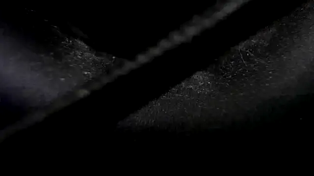 Snapshot of Niquitasparkles chatting on January 2025 10:33:01 PM Niquitasparkles online show from January 2025 10:33:01 PM