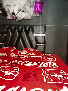 Snapshot of The__Rodriguez chatting on February 2025 01:03:02 AM The Rodriguez online show from February 2025 01:03:02 AM