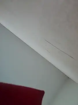 Branquinho Goxtoso online show from January 2025 12:54:02 AM