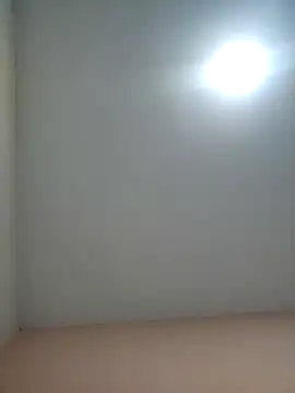 Branquinho Goxtoso online show from January 2025 03:58:02 AM