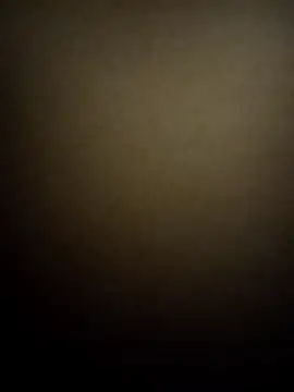 Branquinho Goxtoso online show from November 2025 04:14:02 AM