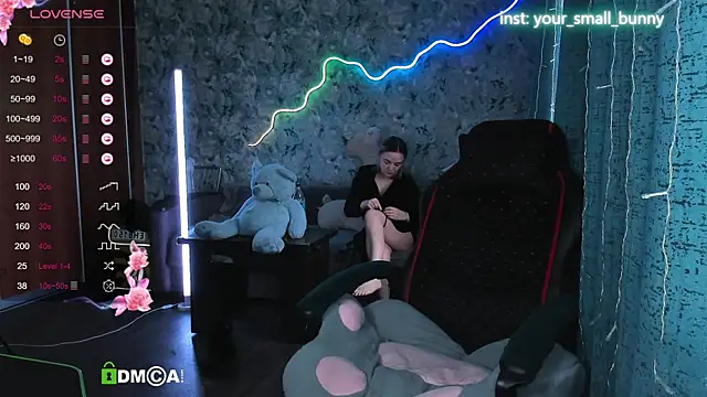 Your small bunny online show from September 2025 03:17:02 AM