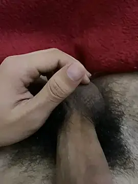 dzpoweralg online show from December 2025 12:09:01 PM