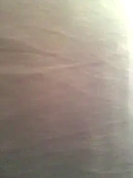 Miss oliviaa online show from November 2025 03:33:02 PM