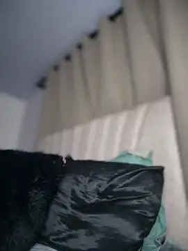 Snapshot of Iris_lee chatting on January 2026 11:47:02 PM Iris lee online show from January 2026 11:47:02 PM