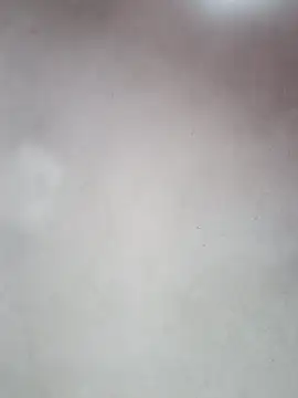  violetta - online show from October 2025 12:59:01 PM