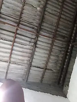  violetta - online show from March 2026 09:47:01 AM