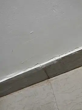 Tamilrojanew online show from March 2026 05:04:01 AM