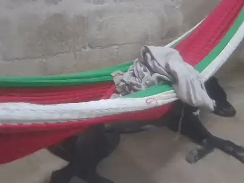 Snapshot of tripexnte chatting on February 2025 11:26:02 PM tripexnte online show from February 2025 11:26:02 PM