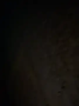 Snapshot of tripexnte chatting on February 2025 06:39:01 AM tripexnte online show from February 2025 06:39:01 AM