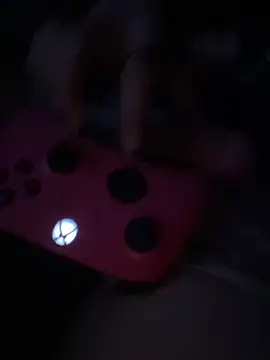 Snapshot of tripexnte chatting on February 2025 11:33:01 AM tripexnte online show from February 2025 11:33:01 AM