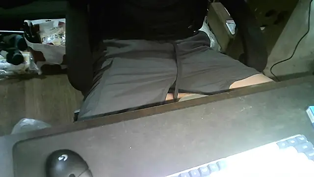 Snapshot of Ryan67533 chatting on December 2024 11:33:01 AM Ryan67533 online show from December 2024 11:33:01 AM