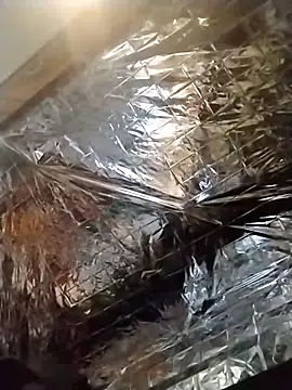 axelongshaft69 online show from December 2024 01:50:01 AM