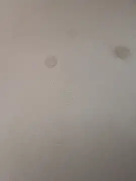 geilerschwanz64 online show from January 2025 09:05:02 PM