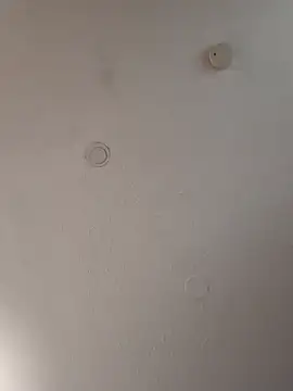 geilerschwanz64 online show from January 2025 11:21:02 AM