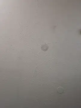 geilerschwanz64 online show from February 2025 04:11:02 AM