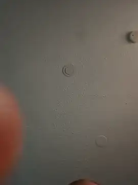 geilerschwanz64 online show from March 2025 01:05:01 AM