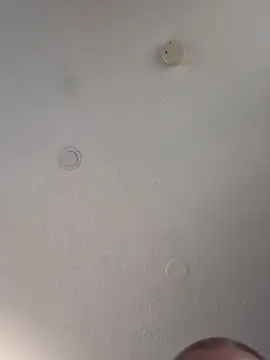 geilerschwanz64 online show from March 2025 08:17:01 PM