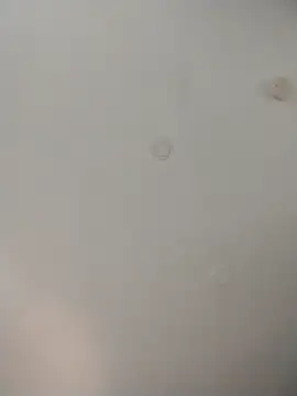 geilerschwanz64 online show from November 2025 08:21:02 PM