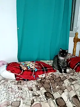 sama0012 online show from February 2025 11:14:02 PM