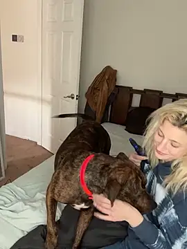 torilux online show from January 2025 08:43:02 PM