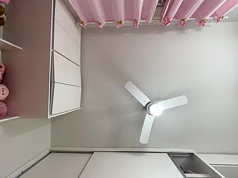 Snapshot of lariic chatting on March 2025 12:48:02 PM lariic online show from March 2025 12:48:02 PM