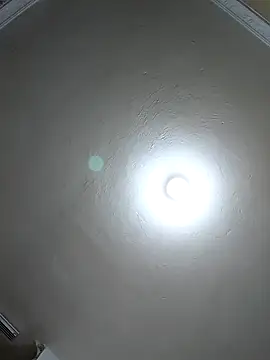 evafoxs online show from March 2025 11:20:01 PM