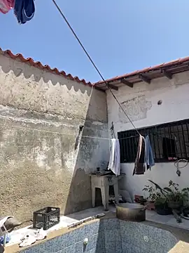 Leo bunny hot online show from February 2025 05:26:02 PM