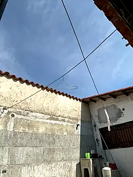 Leo bunny hot online show from October 2025 06:48:01 PM