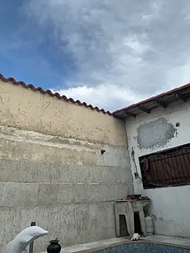 Leo bunny hot online show from October 2025 08:42:02 PM