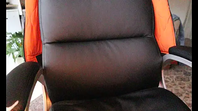 Danilow Dutch online show from November 2025 02:53:02 PM