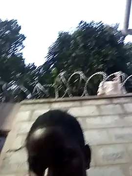 Hash beb online show from December 2024 03:49:02 PM