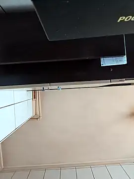 vulpe8400 online show from March 2025 09:46:01 AM