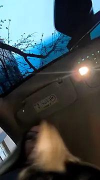 SukyGirl online show from February 2025 05:40:01 AM