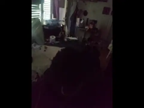 DevinToore online show from March 2026 05:29:01 PM